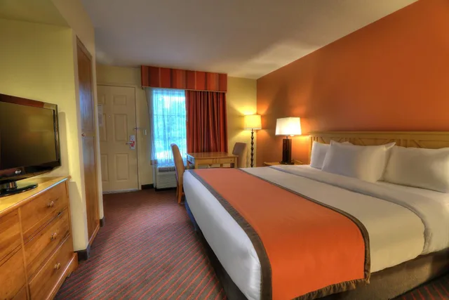Room, King Bed, City View, Accessible, Econo Lodge Pigeon Forge Riverside 2/7
