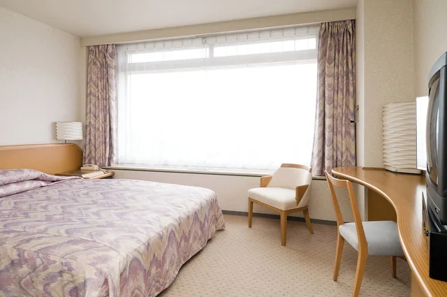 غرفة ديلوكس بسرير كينج مع أريكة، Sapporo Kitahiroshima Classe Hotel 2/5