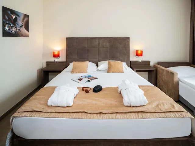 غرفة بريفيليج بسرير مزدوج مع أريكة، Mercure Graz City Hotel 2/6