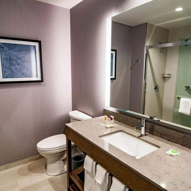 Specialty, King Bed, Lake View, Sofa، Hyatt Place Sioux Falls - South 2/2