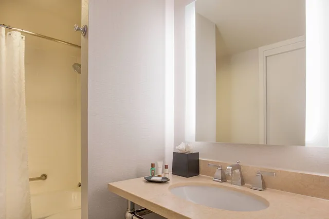 جناح كلوب بغرفة نوم واحدة، Sheraton Suites Chicago Elk Grove 3/4