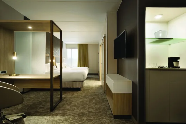 جناح بسرير كينج مع أريكة لذوي الإعاقة، Springhill Suites Allentown Bethlehem Center Valley 6/6
