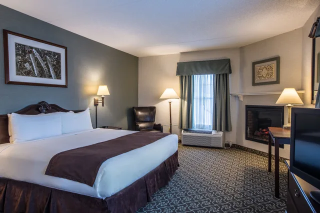 غرفة قياسية بسرير كينج بغرفة نوم واحدة، D. Hotel and Suites 1/9
