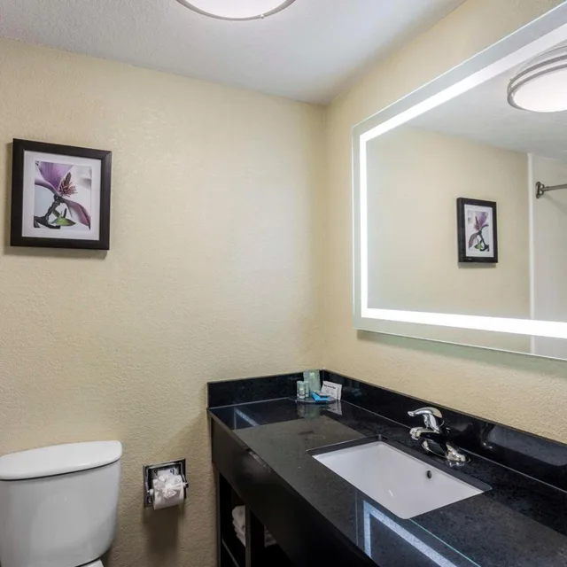 جناح بسرير كينج مع أريكة، Best Western Harrisburg North 3/4