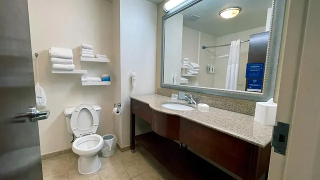 Study, King Bed، Hampton Inn Oklahoma City-Northwest 3/4