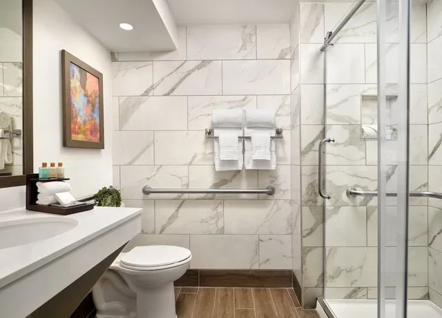 Suite, King Bed, Accessible, Buena Vista Suites 6/8