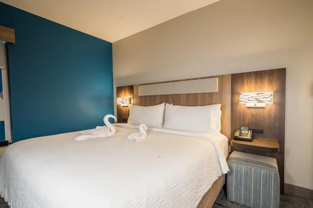 جناح بسريرين، Holiday Inn Express Suites Tampa Northwest Oldsmar 1/6