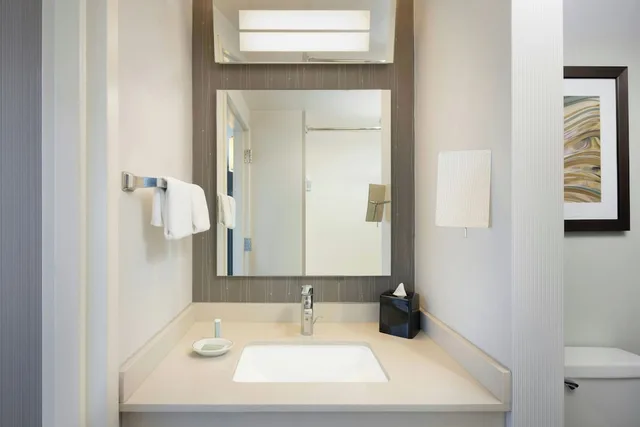 غرفة بسرير كينج بإطلالة على المدينة مع أريكة، Courtyard Chicago Downtown/Magnificent Mile 4/6