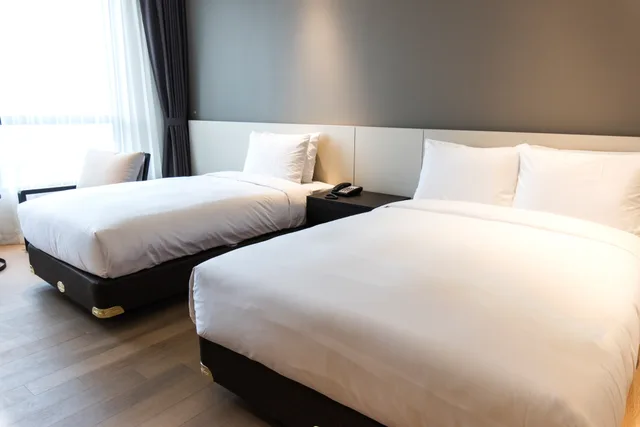 غرفة ديلوكس بسريرين منفصلين، Hotel Nanta 3/4