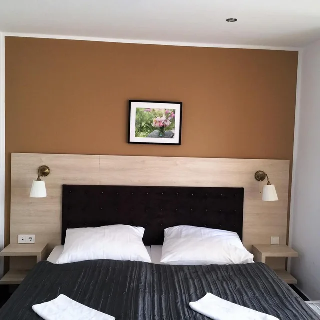 Room, Single, Hotel Denbu 6/17