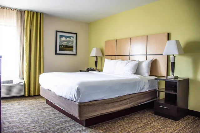1 Bedroom, Suite, King Bed, Accessible, CANDLEWOOD SUITES OVERLAND PARK 1/4
