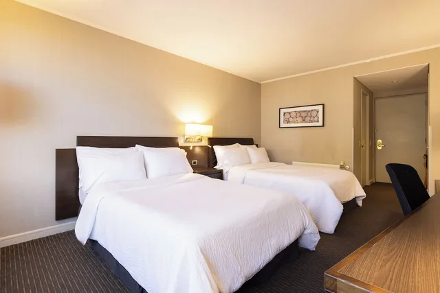 غرفة قياسية بسرير فردي، HOLIDAY INN EXPRESS TEMUCO 2/6