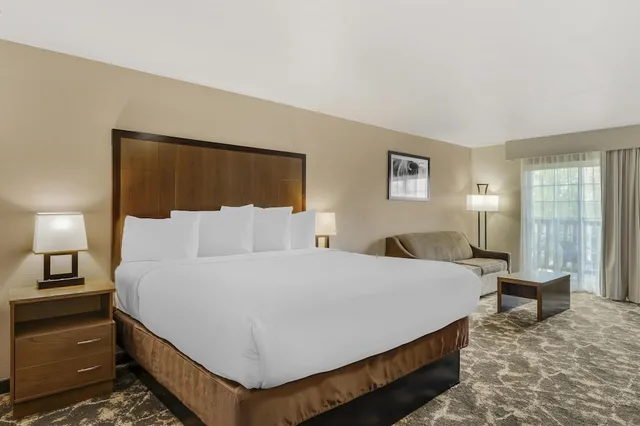غرفة قياسية بسرير كينج بإطلالة على النهر بحوض جاكوزي، Best Western Plus Riverfront Hotel And Suites 5/10