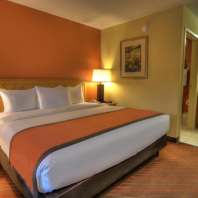 Room, King Bed, City View, Accessible, Econo Lodge Pigeon Forge Riverside 1/7