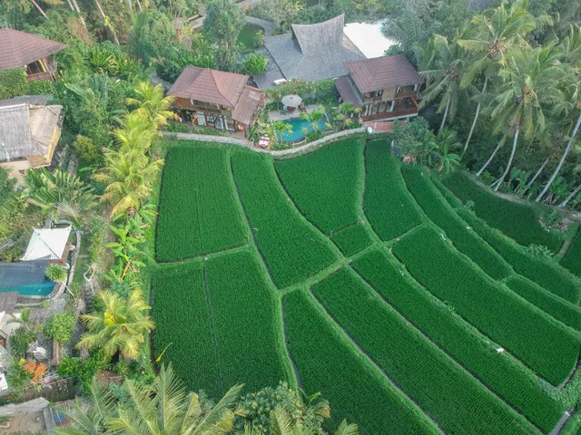 جناح ديلوكس بسرير كينج بإطلالة على المتنزه، Gusde Tranquil Villas 1/2
