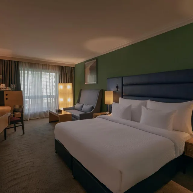 غرفة تنفيذية، Radisson Blu Heliopolis 3/10