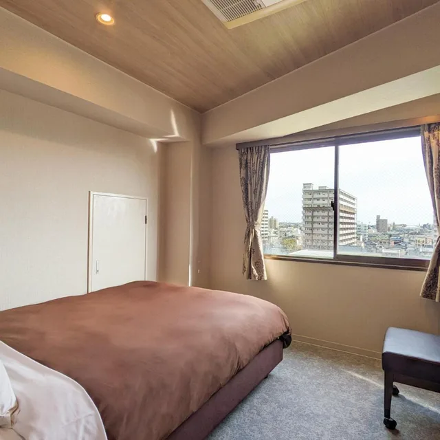 Renovated, Standard, Double Bed, Electronic Cigarette Only, Smoking، Hotel New Gaea Ube 1/1