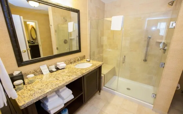 جناح بريميوم بسرير كينج، Embassy Suites by Hilton Savannah Historic District 3/5