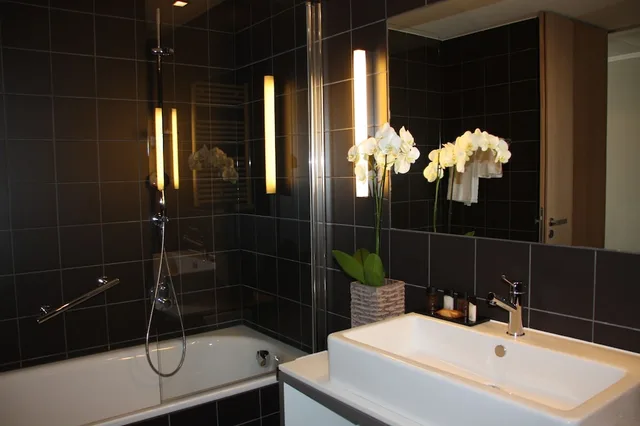 غرفة سوبيريور بسرير كينج، Hotel De La Source 4/5