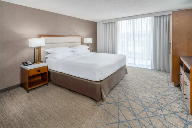 جناح كبير بسرير كينج، Embassy Suite Hotel Colorado Springs 1/1