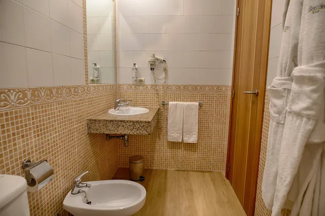 غرفة كلاسيكية مفردة بسريرين منفصلين، Sercotel Tribuna Malaga 5/6