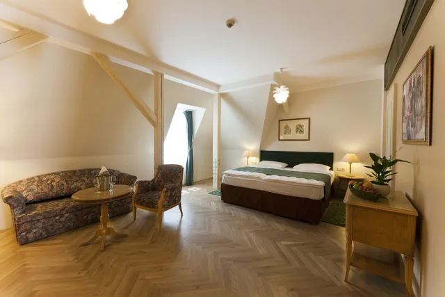غرفة سوبيريور بسريرين منفصلين، Grandhotel Ambassador Narodni Dum 3/4