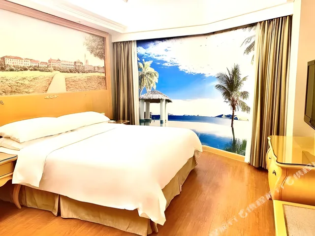 Superior, Vienna Hotel (Shenzhen Luohu Port Railway Station) 1/1