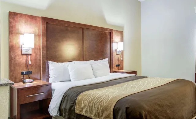 جناح بسرير كينج، Comfort Inn & Suites Athens North GA 2/2