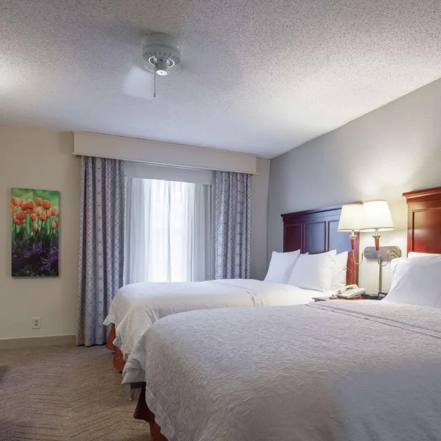 جناح بسريرين كوين مع أريكة، Hampton Inn And Suites Williamsburg-Richmond Rd 2/3