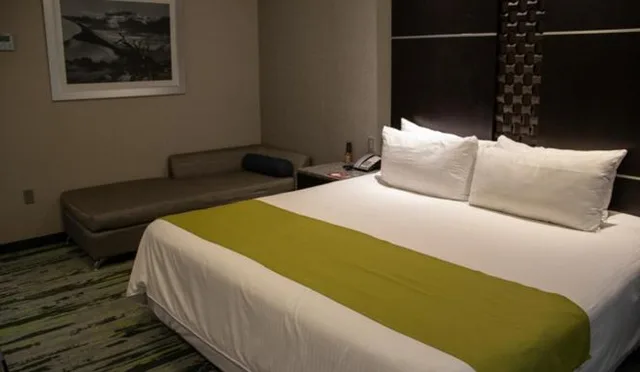 غرفة سوبيريور، Hotel Araiza San Luis 1/10