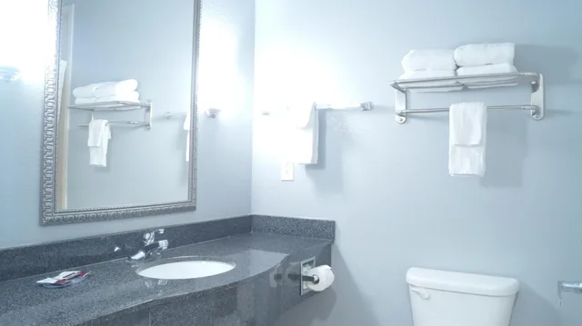 غرفة بسرير كينج، Magnolia Inn And Suites 3/6
