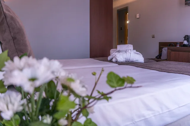 Standard, Twin Beds, Madanis Hotel 6/10