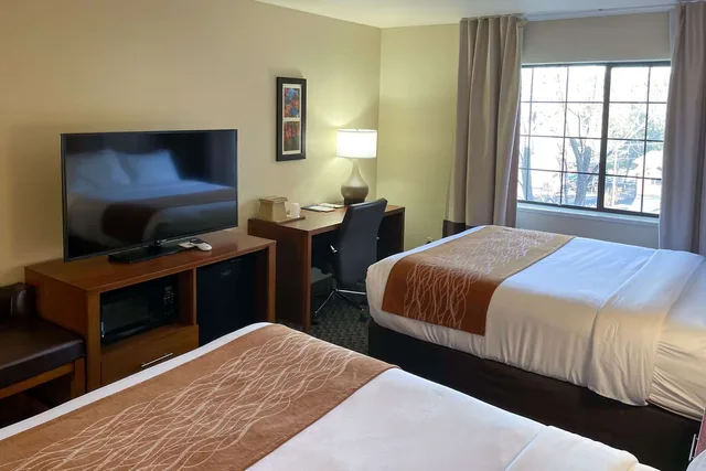 جناح بسريرين كوين، Comfort Inn Midtown 3/5