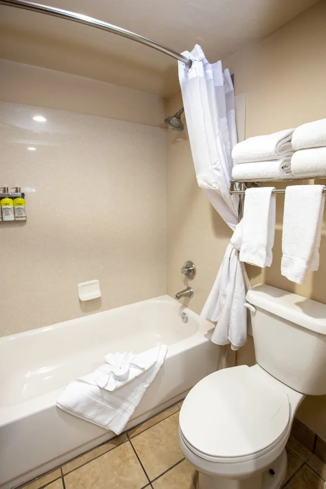 غرفة قياسية بسرير كينج، Grand Canyon Hotel and Suites 5/5