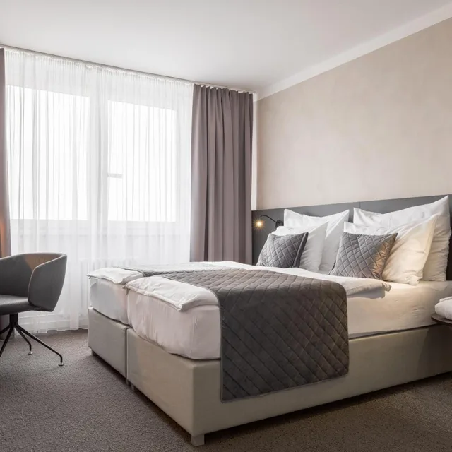 غرفة ديلوكس بسرير مزدوج أو سريرين منفصلين، Hotel Vista 5/10