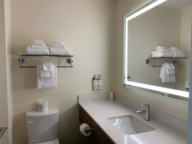غرفة قياسية بسرير كينج، Elk Lake Inn Suites Victoria 5/6