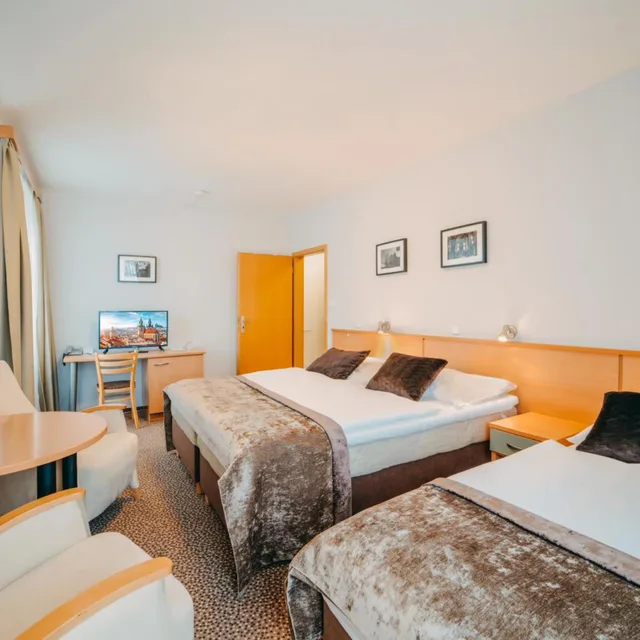 2 Bedrooms, Apartment, King Bed, COLORFACTORY SPA Hotel 1/4