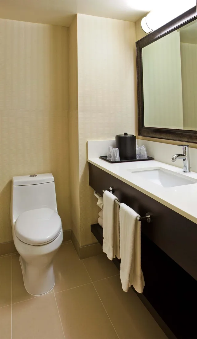 غرفة قياسية بسرير كينج بشرفة، Holiday Inn Vancouver Centre 5/6