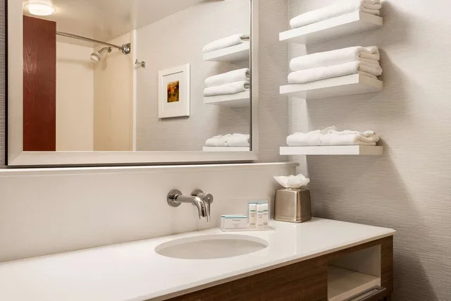 جناح بسرير كينج، Hampton Inn & Suites Denver-Cherry Creek 3/3