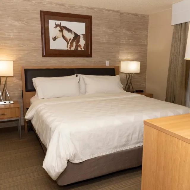 جناح بغرفة نوم واحدة مع أريكة، Holiday Inn Spearfish-Convention Center 1/3