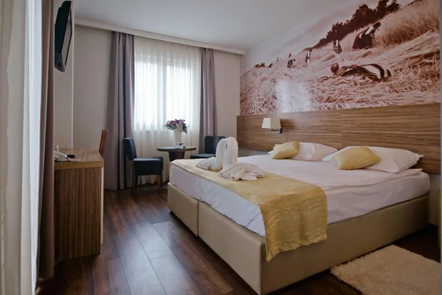 Standard, Double or Twin Bed, City View, Medjugorje Hotel Spa 2/10