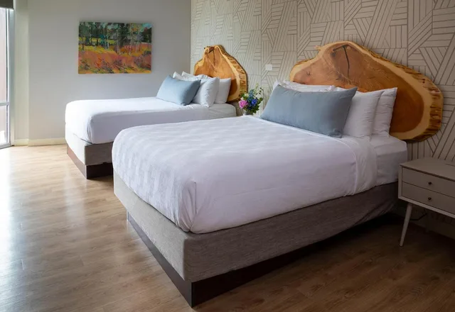 Room, Queen Bed, Accessible, Delamar Traverse City 1/1