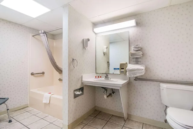 غرفة بسرير كينج لذوي الإعاقة، Econo Lodge Branson Theater District 4/5