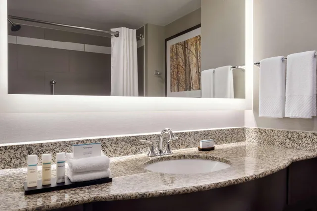 جناح بسريرين كوين، Embassy Suites By Hilton Atlanta Alpharetta 3/4