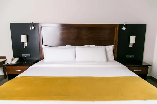 Room, King Bed, Sheraton Leon 1/2