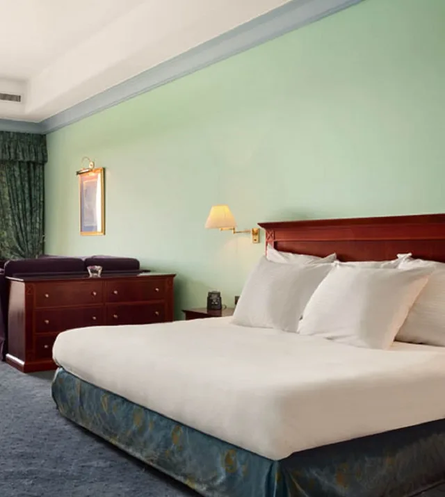 جناح جونيور تنفيذي بسرير كينج، Hilton Pyramids Golf Resort 1/5