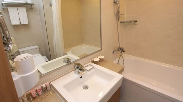 Deluxe, 1 Double and 1 Single Bed, Hotel Skypark Dongdaemun 1 9/9