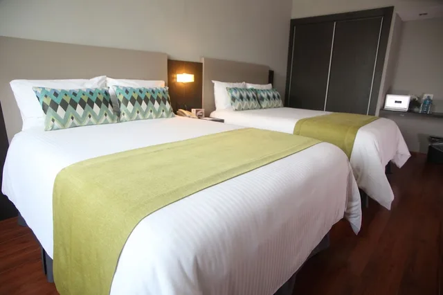 غرفة ديلوكس بسريرين مزدوجين، ARANJUEZ HOTEL & SUITES 3/6