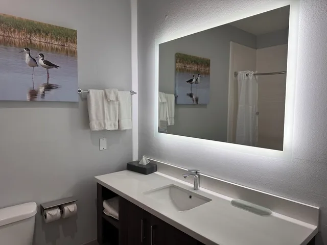 غرفة بسرير كينج لذوي الإعاقة، La Quinta Inn and Suites by Wyndham Alamo - McAllen East 6/6