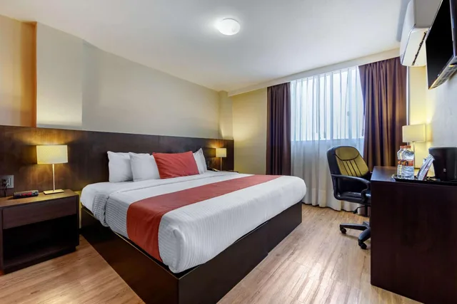 Efficiency, Superior, Suite، Comfort Inn San Luis Potosi 4/10